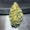 florida-sunrise-autoflower-cannabis-nugs Florida Sunrise Auto