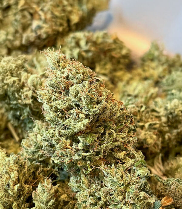 ghost-chem-og-autoflower-marijuana-nugs Ghost Chem OG Auto