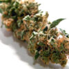 Jack Herer