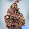 Keepers OG Auto