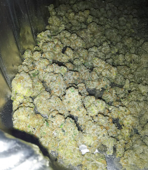 RudeBoi OG F1