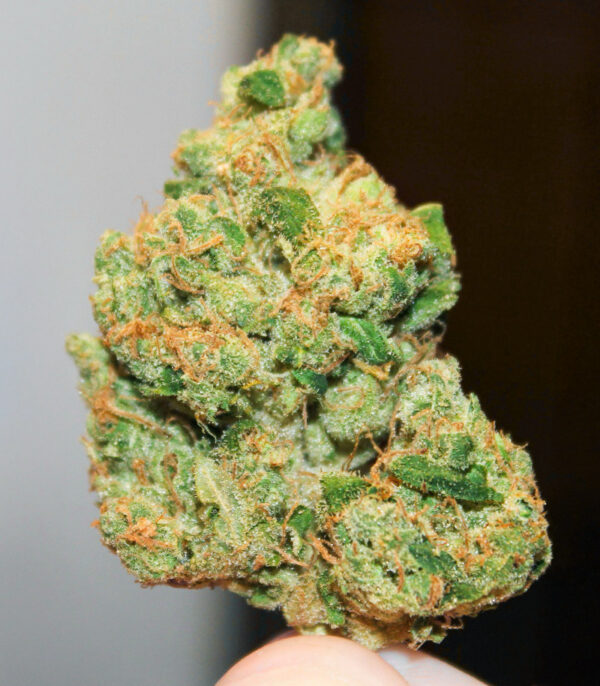 Sour Diesel x OG Kush