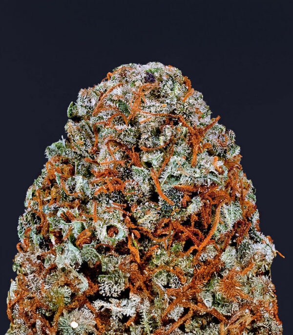 Sour Diesel x OG Kush