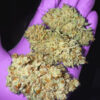 sour-mac-f1-cannabis-nugs Sour MAC F1