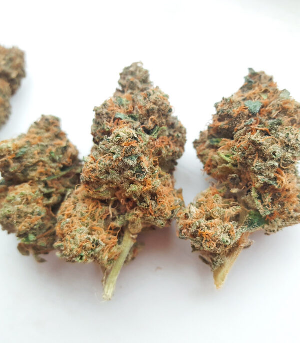 sticky-sherbert-gg-cannabis-nugs Sticky Sherbert GG