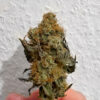 The White Fire OG