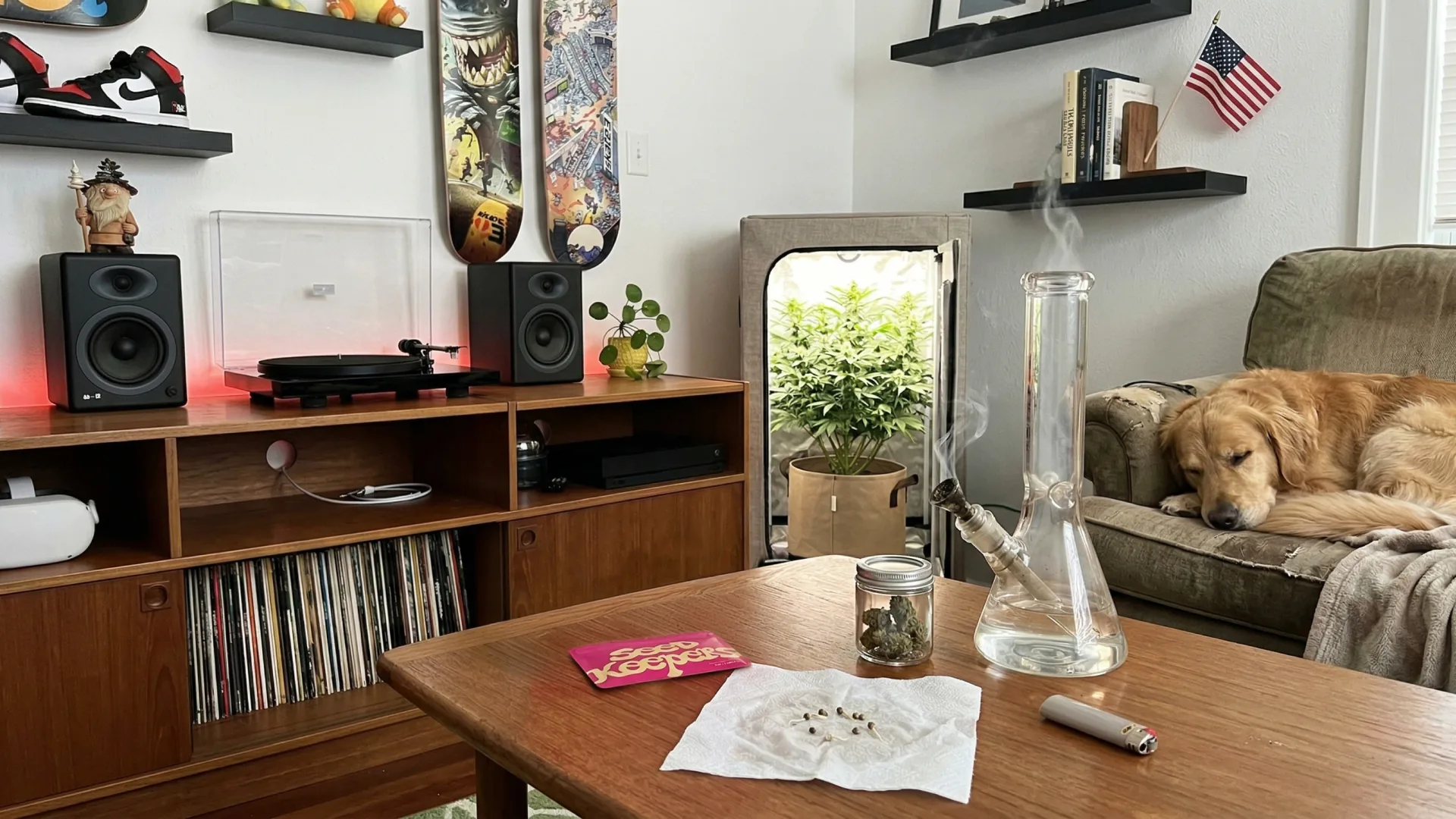 Seedkeepers cannabis seed collection hero